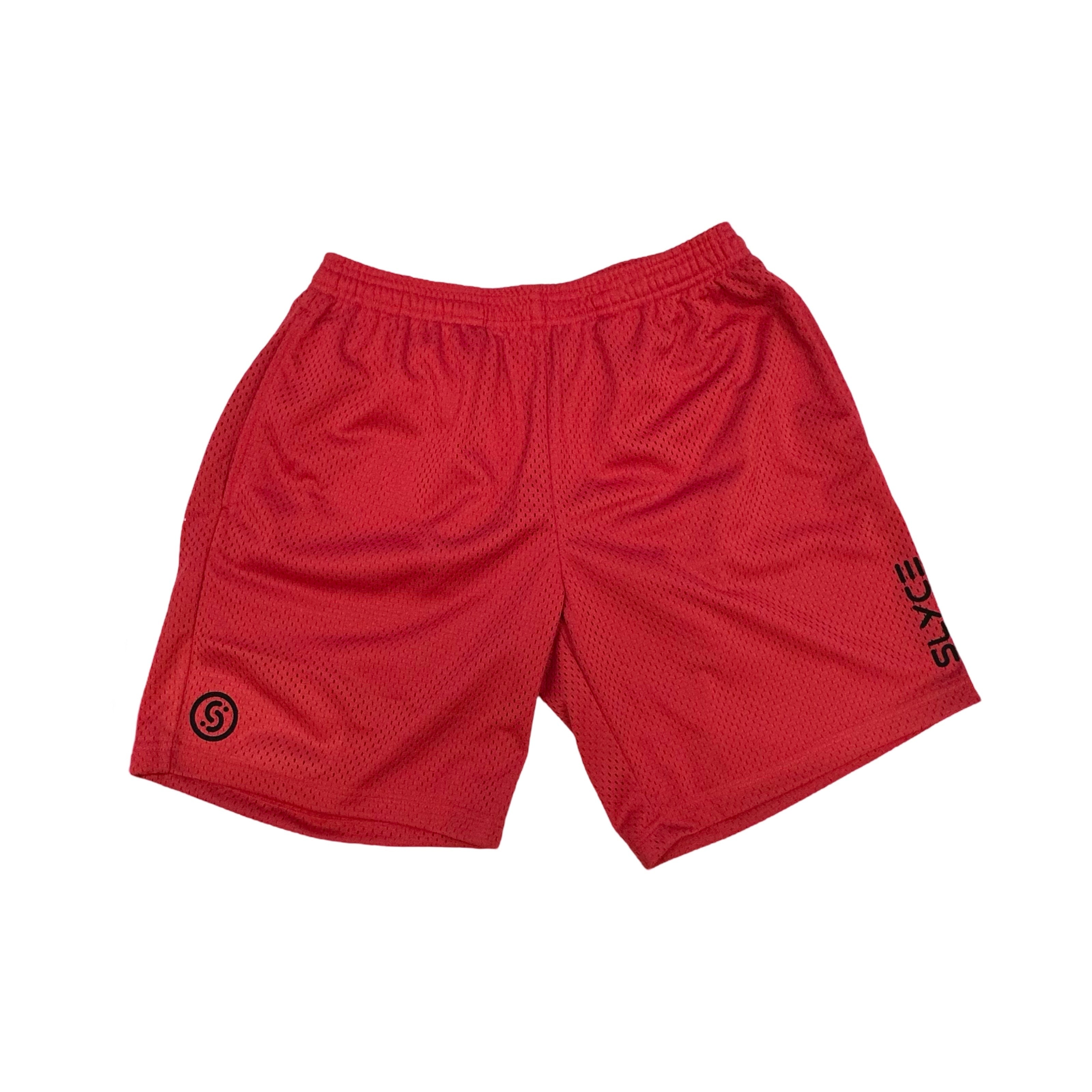 Mesh Training Shorts