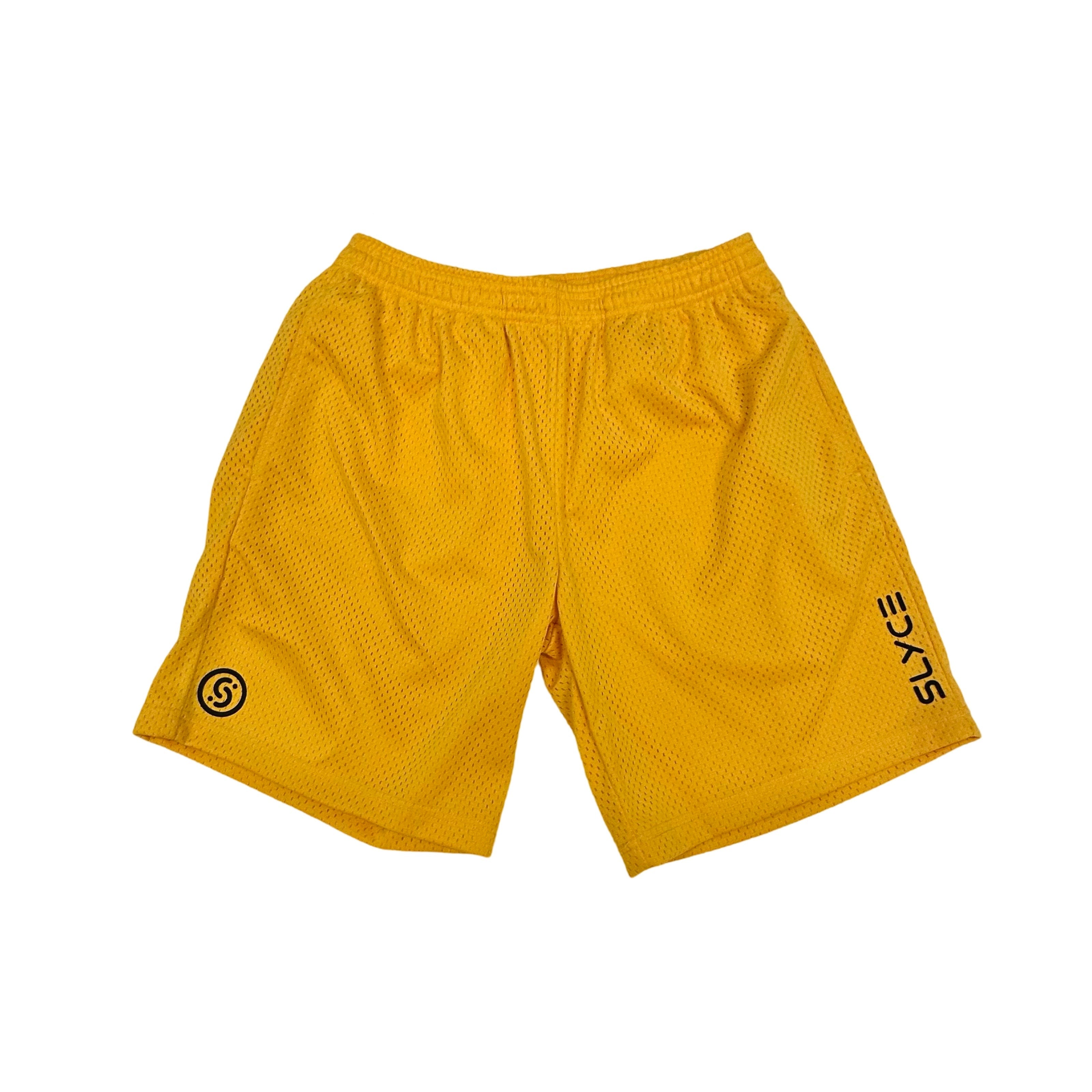 Mesh Training Shorts