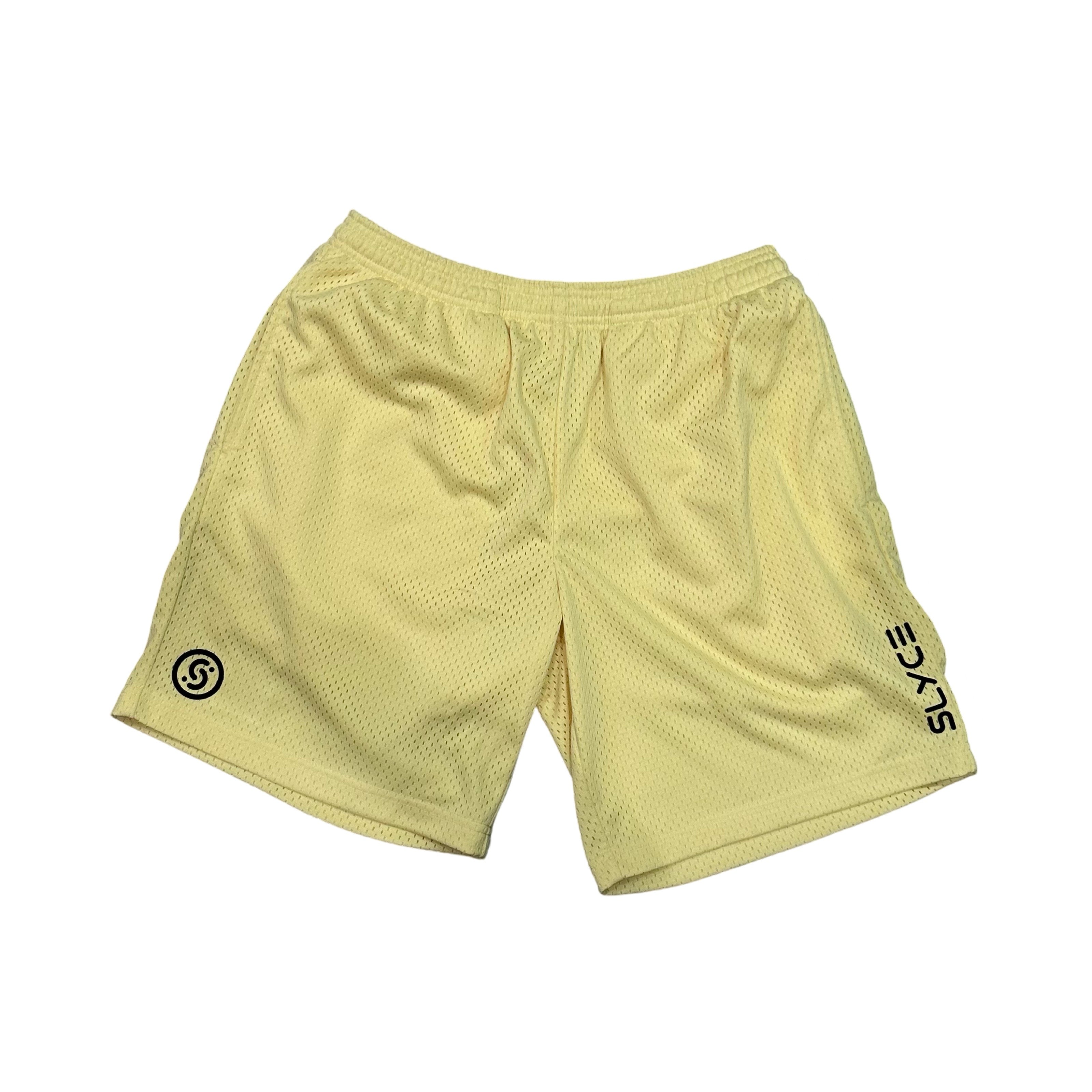 Mesh Training Shorts
