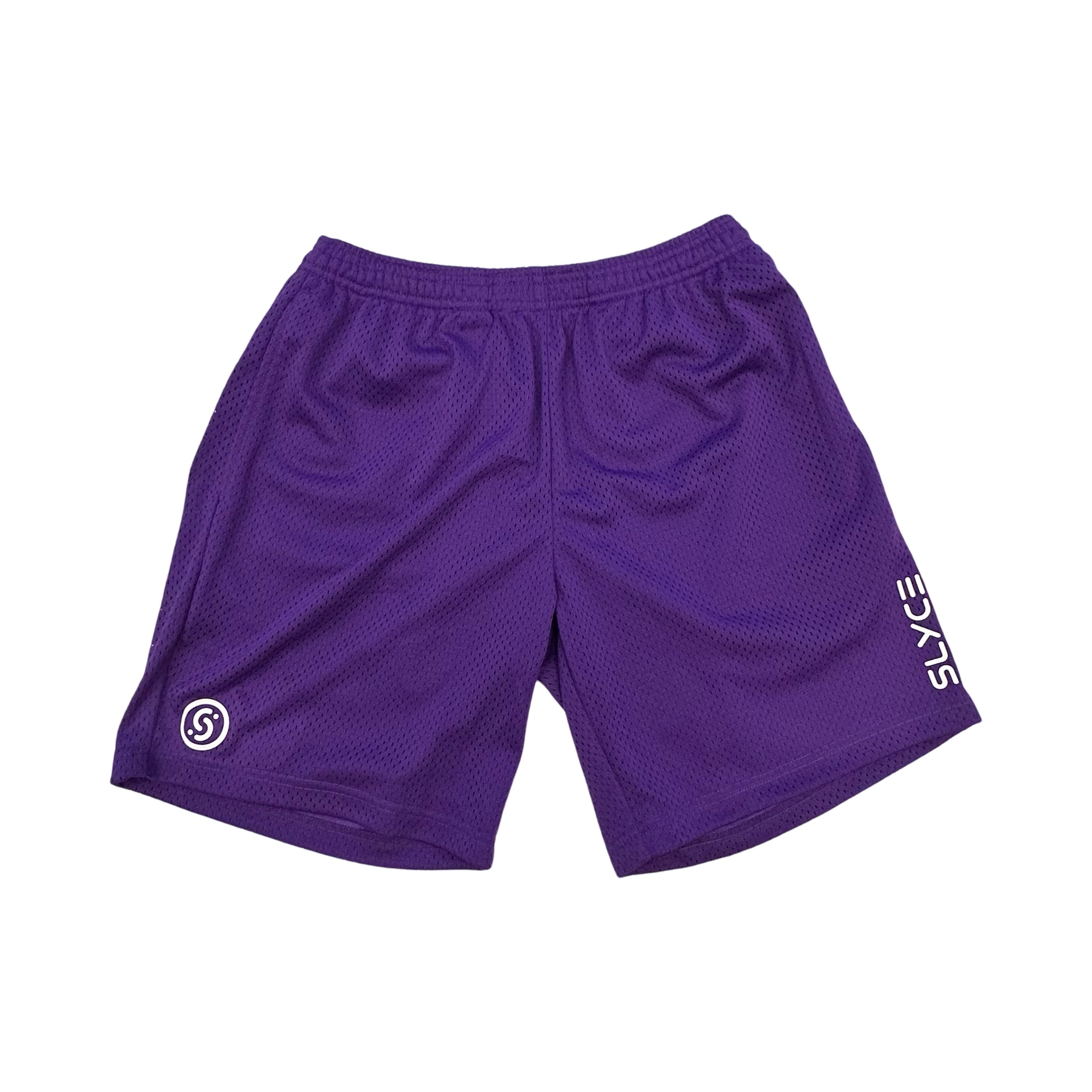 Mesh Training Shorts