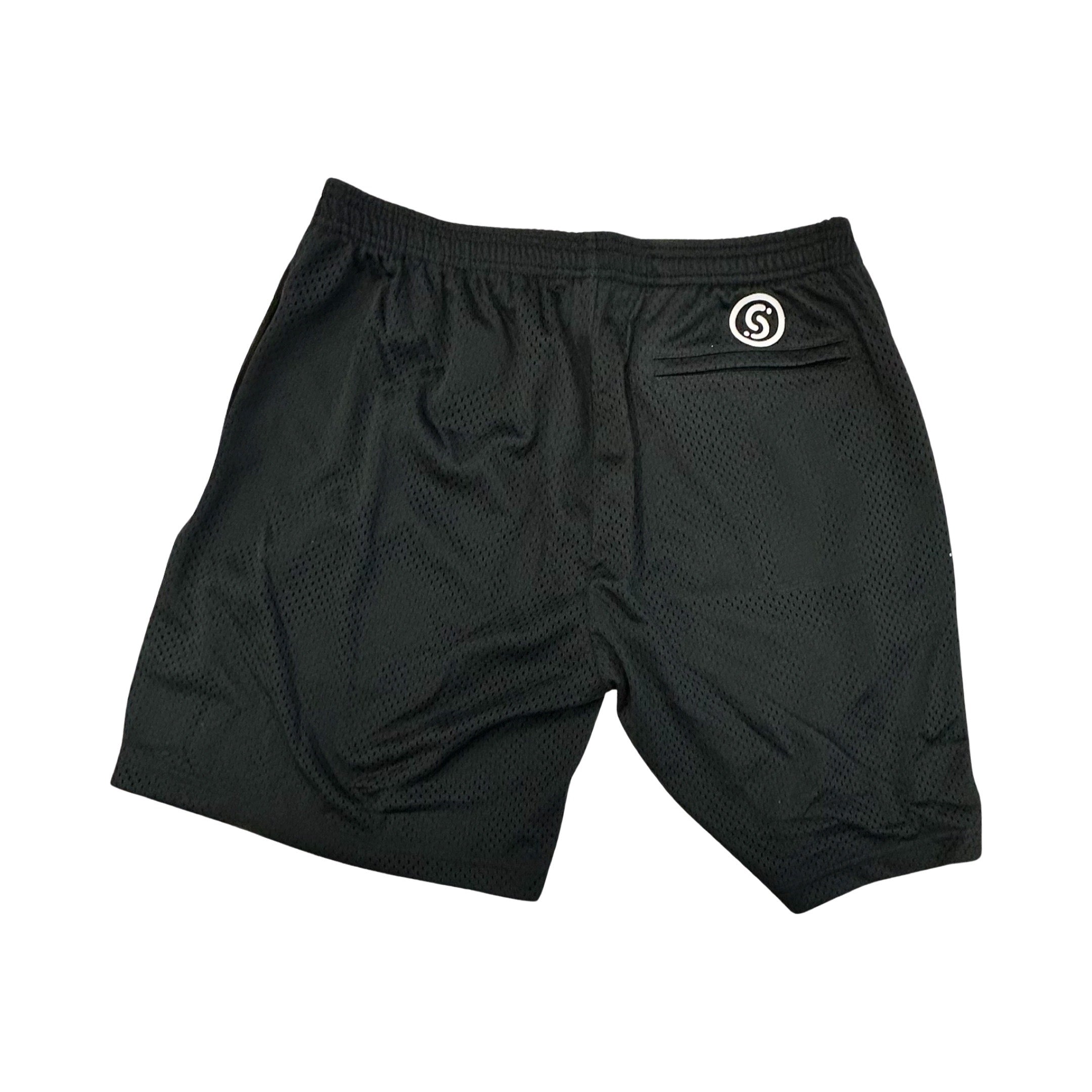 Mesh Training Shorts